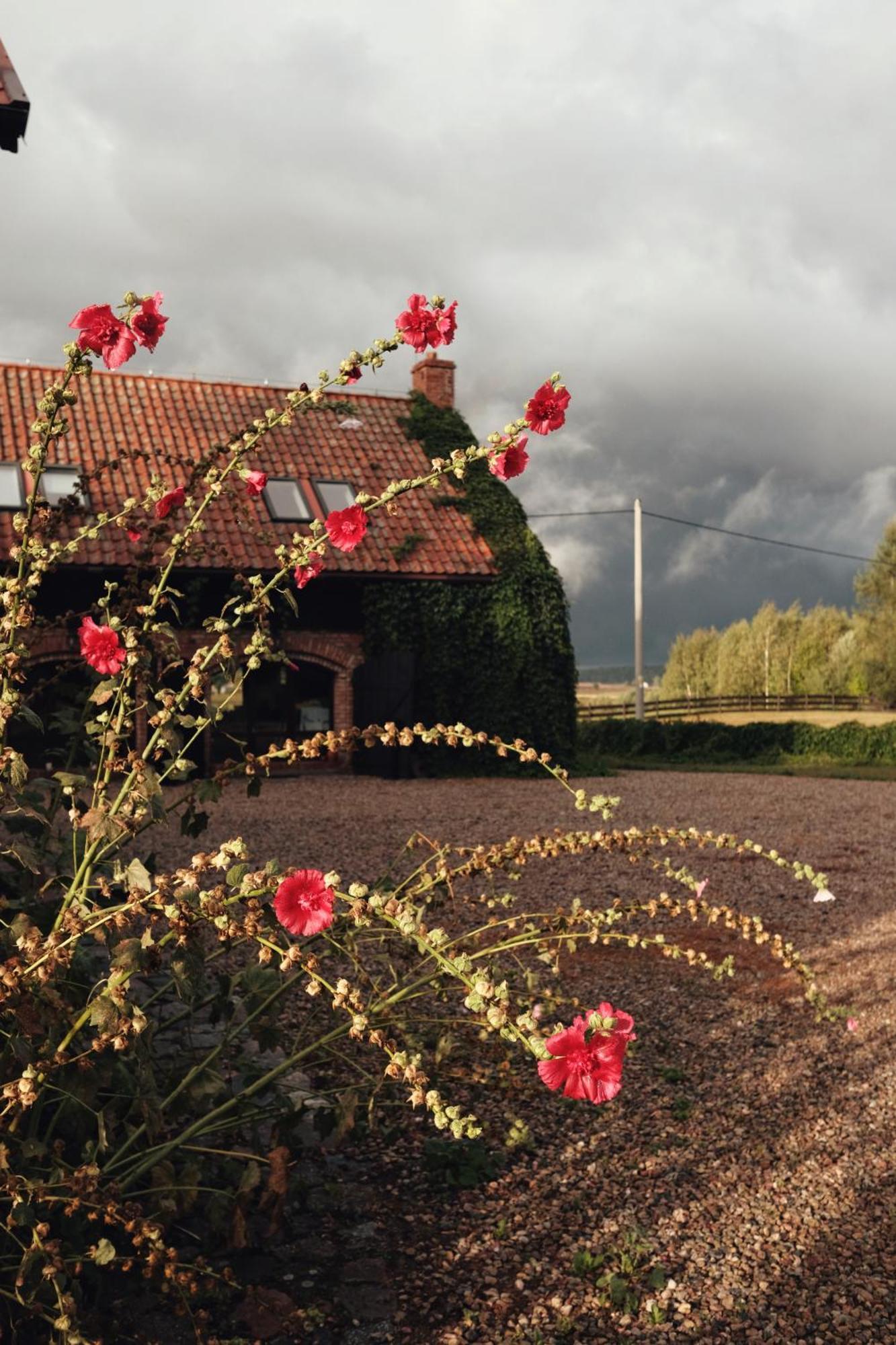 Siedlisko Maria Jablonowo Villa Buitenkant foto